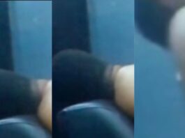 The new student video is really trending