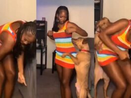 The Girl and Her Dog in the Bedroom