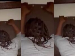 The New South Africa Big Mama With Boy Trending Video