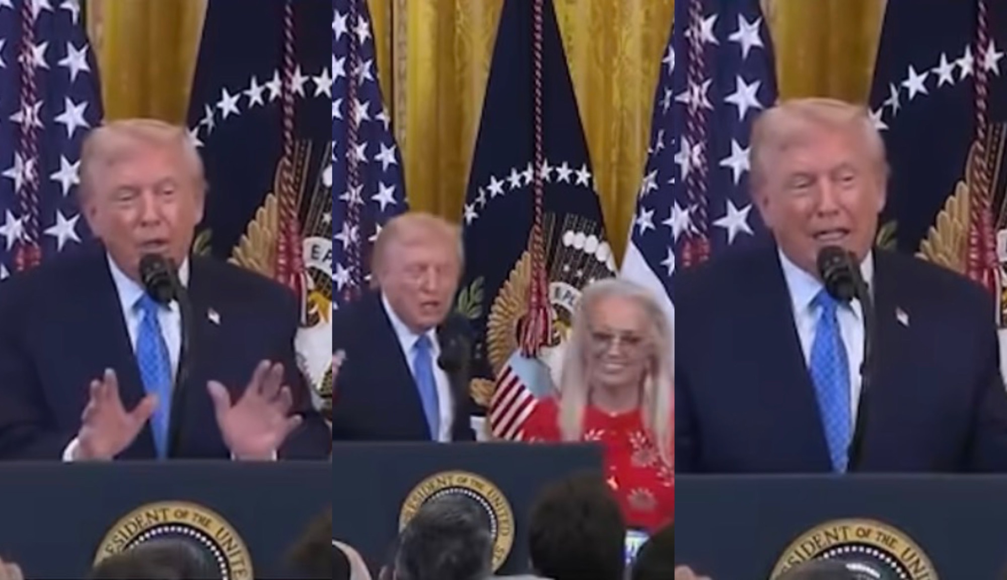 Trump receives a $250 million donation to run for a third time